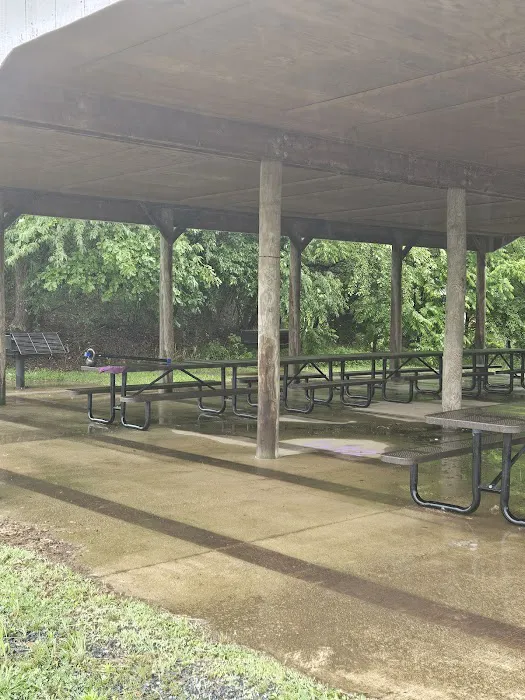 Mattie Stepanek Dog Park 8