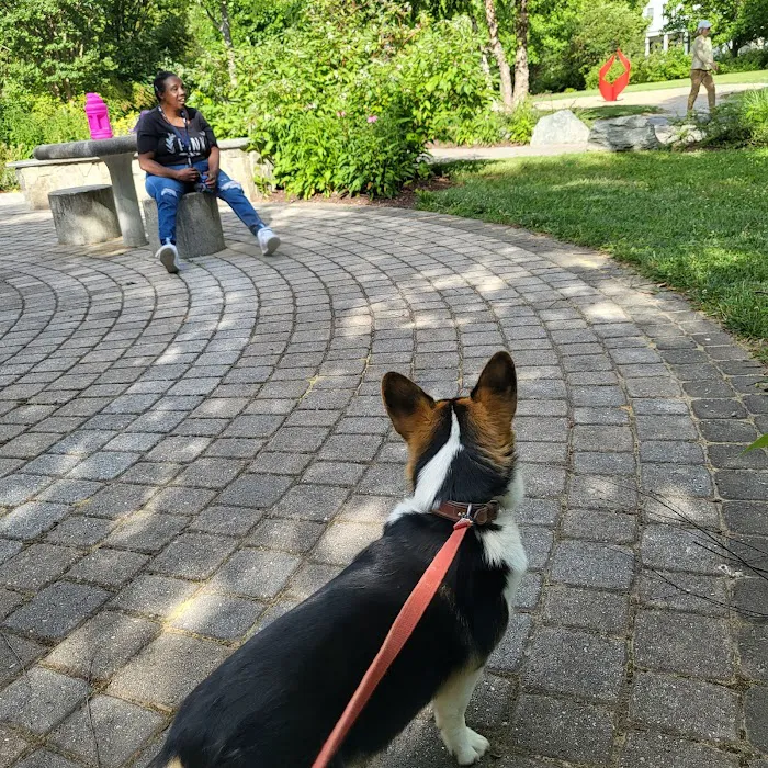 Mattie Stepanek Dog Park 9