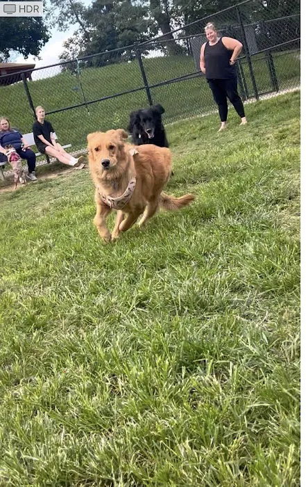 Matthewstown Harmans Dog Park 3
