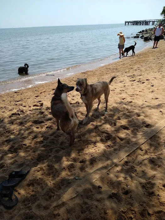 Downs Park Dog Beach 8