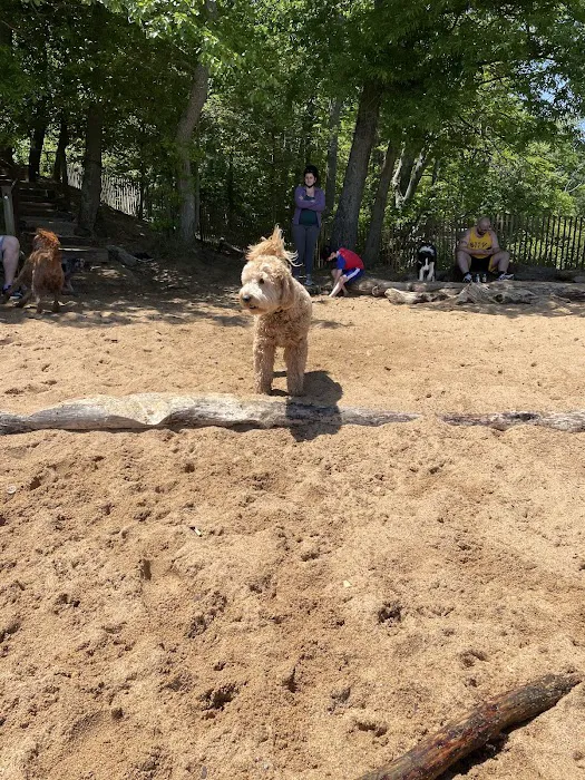 Downs Park Dog Beach 9
