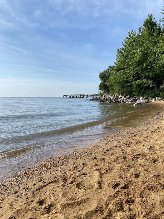 Downs Park Dog Beach 5