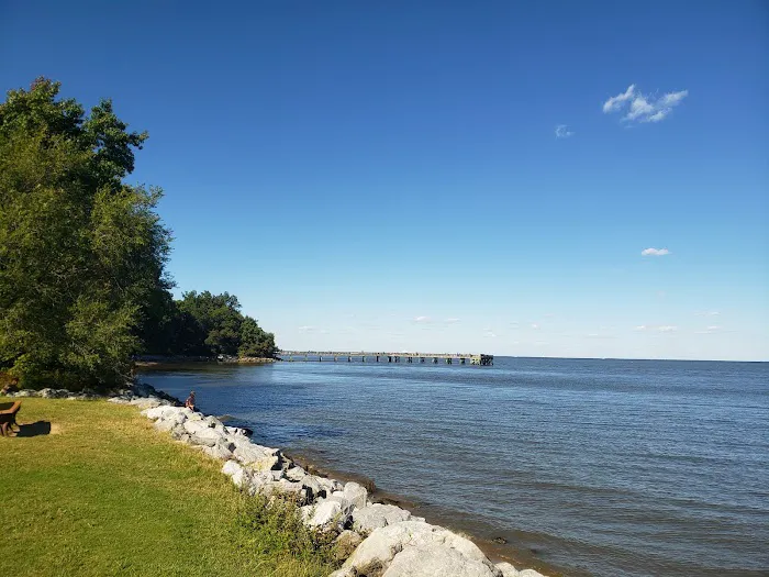 Downs Park Dog Beach 1