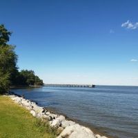 Downs Park Dog Beach ico