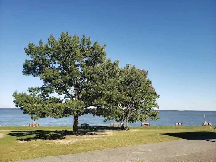 Downs Park Dog Beach 6
