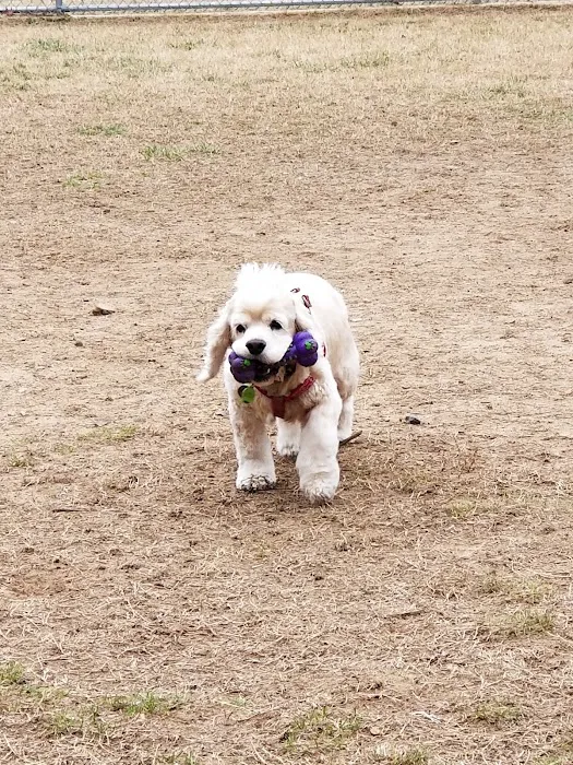 Fort Meade Dog Park 9