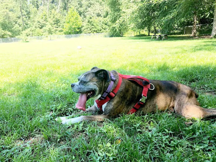 Fort Meade Dog Park 3