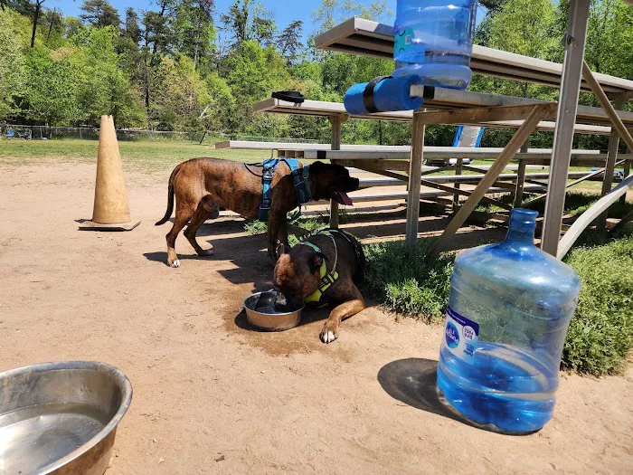 Fort Meade Dog Park 5