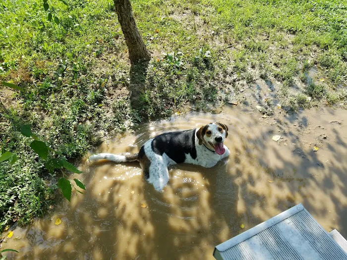Fort Meade Dog Park 4