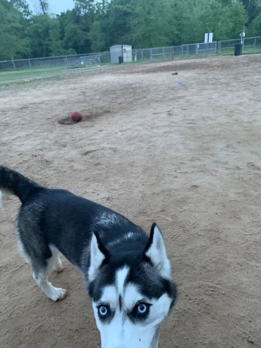 Fort Meade Dog Park 6