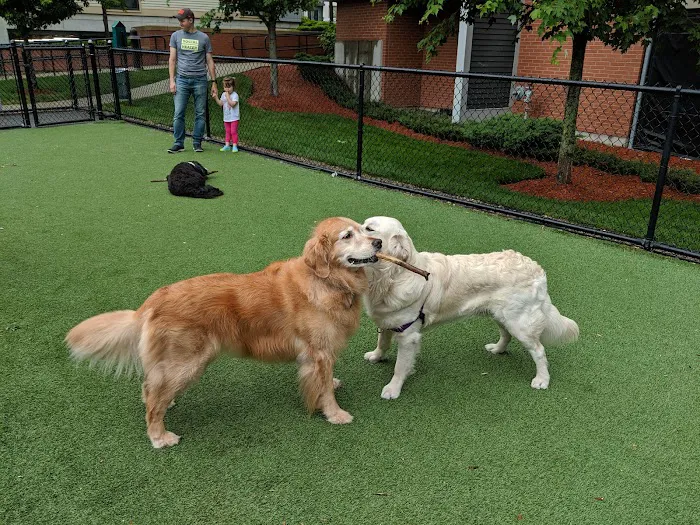W Dog Park 1
