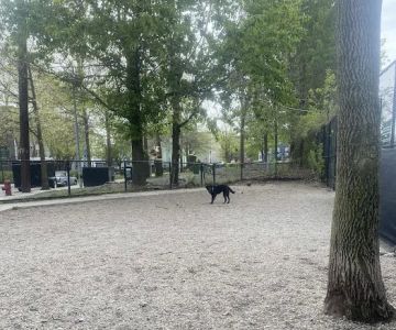 Dog Park at Edward Leathers Community Park