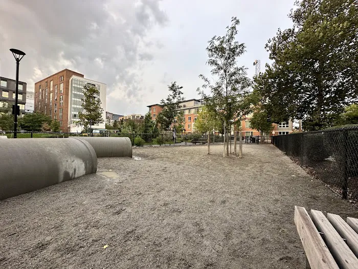 Dog Park at Toomey Park 1