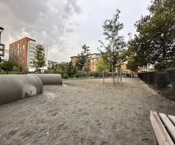Dog Park at Toomey Park