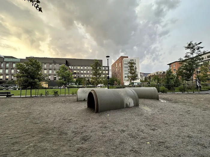 Dog Park at Toomey Park 2