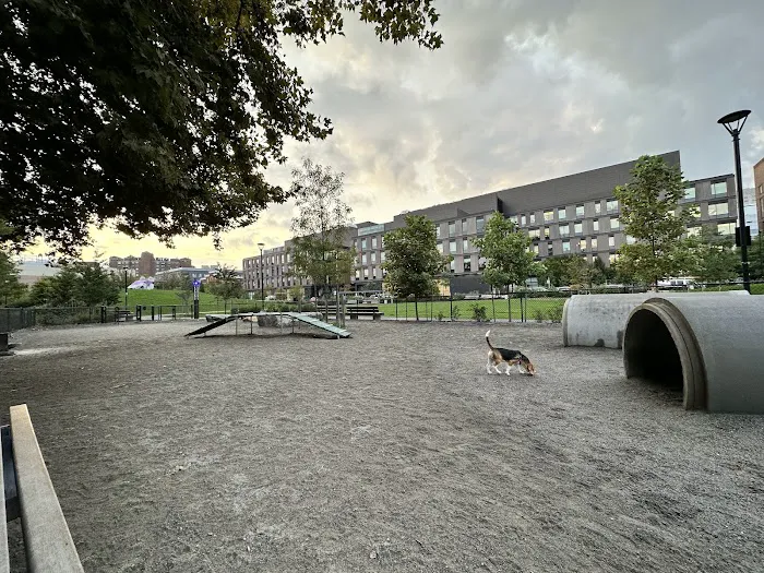 Dog Park at Toomey Park 3