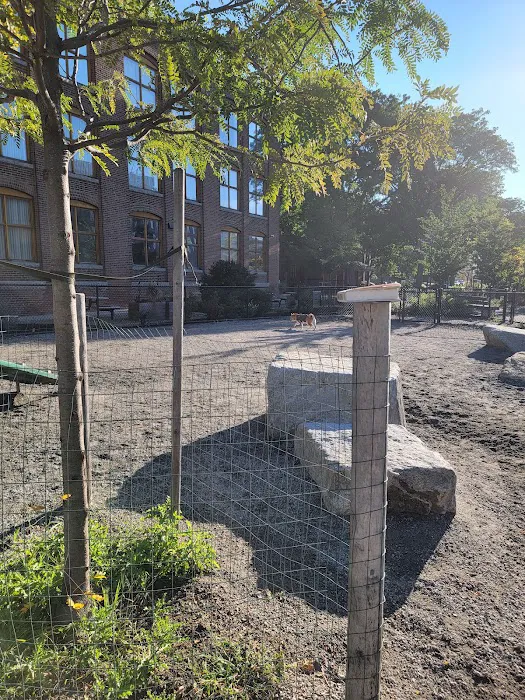 Dog Park at Toomey Park 6