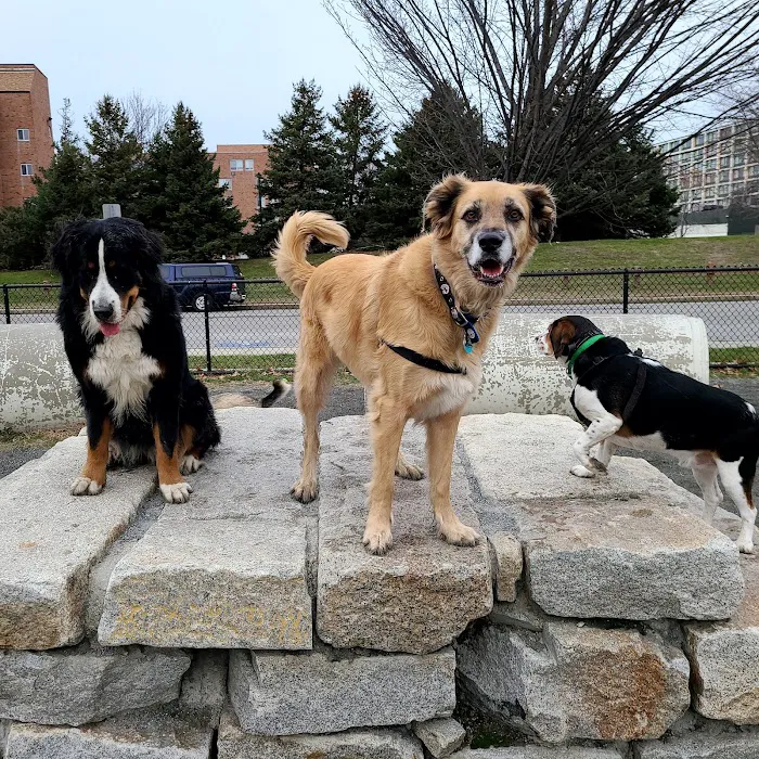 Zero New Washington Dog Park 10
