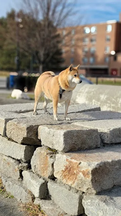 Zero New Washington Dog Park 6