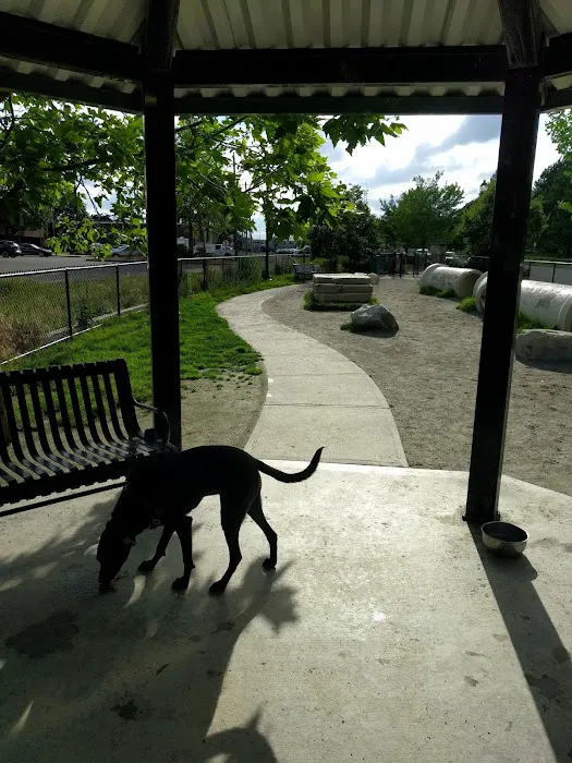 Zero New Washington Dog Park 9