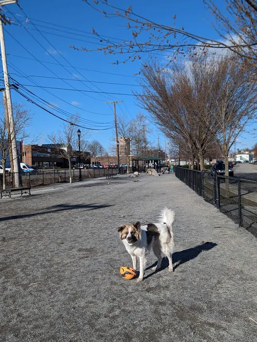 Zero New Washington Dog Park 8