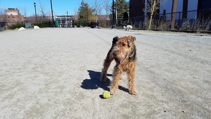 Zero New Washington Dog Park 5