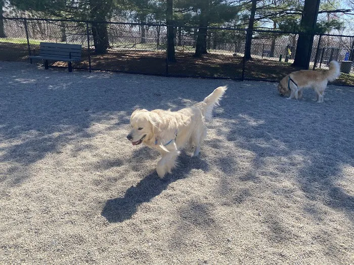 Medford Dog Park 1