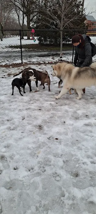 Medford Dog Park 4
