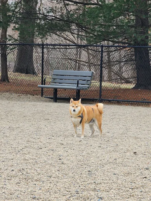 Medford Dog Park 8