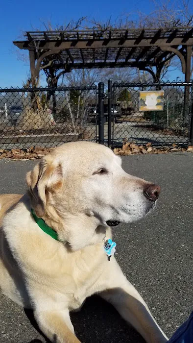 Medford Dog Park 3
