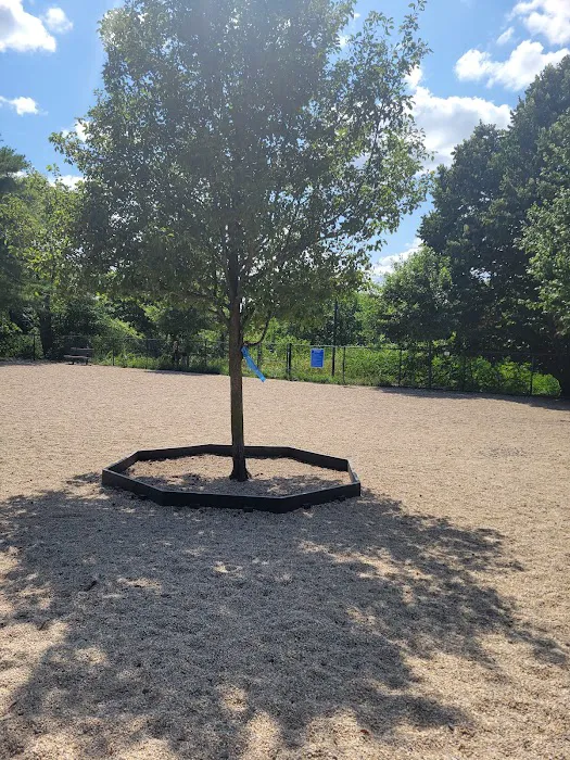 Medford Dog Park 9