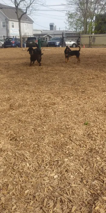 Wakefield Dog Park 2