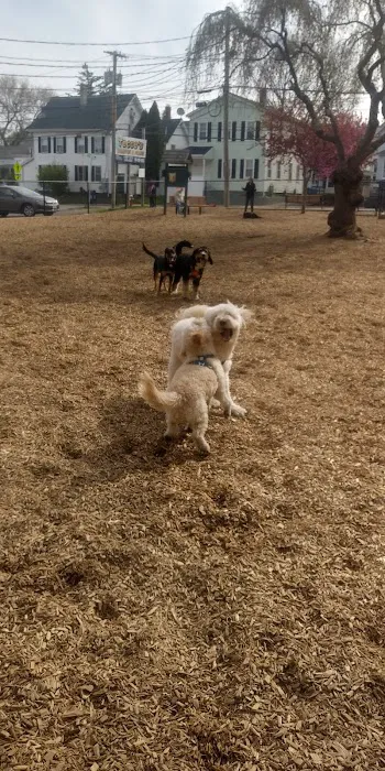 Wakefield Dog Park 5