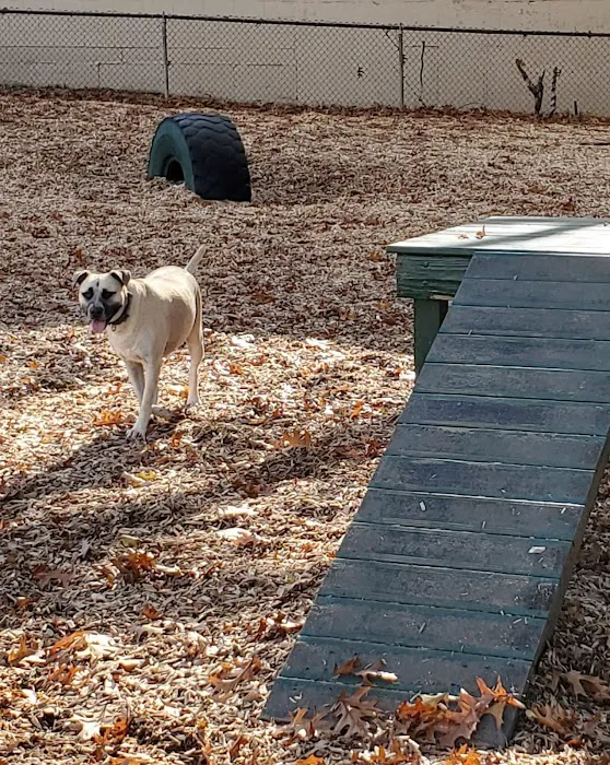 Wakefield Dog Park 1