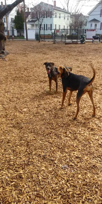 Wakefield Dog Park 7