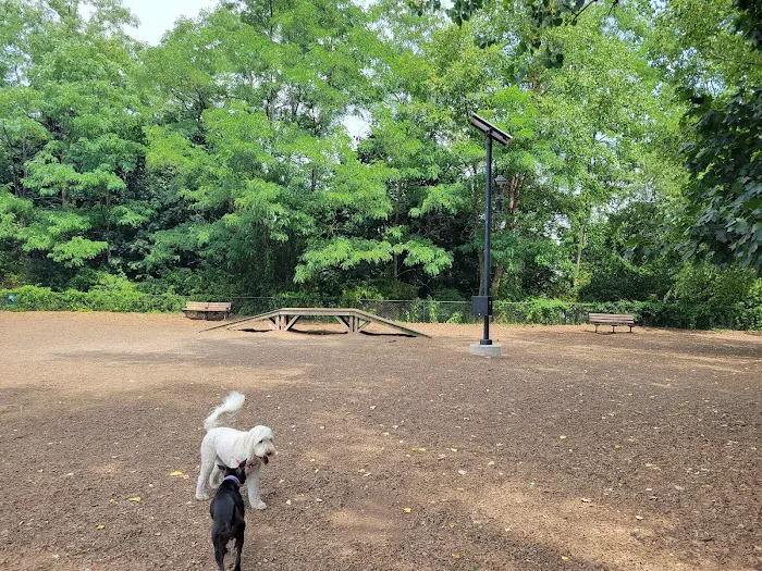 Melrose Dog Park 8