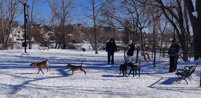 Melrose Dog Park 1