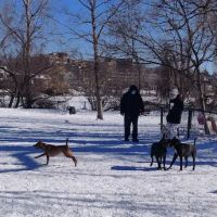 Melrose Dog Park ico