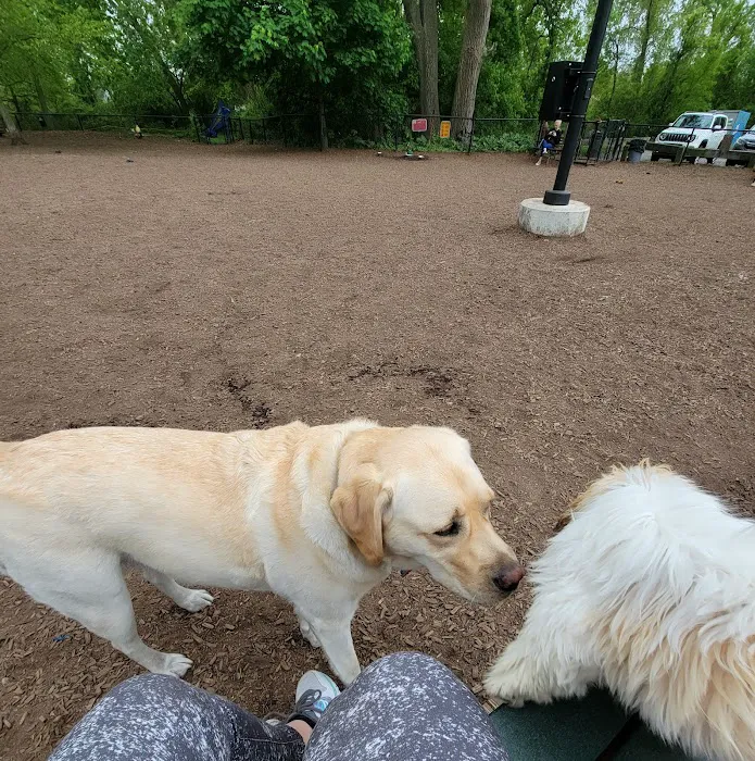Melrose Dog Park 5