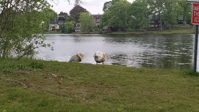 Melrose Dog Park 7