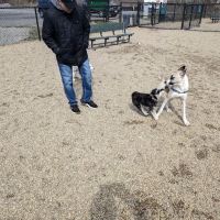 Pine Banks Dog Park ico