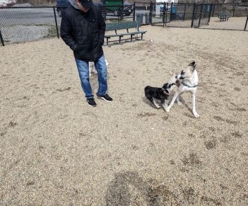 Pine Banks Dog Park