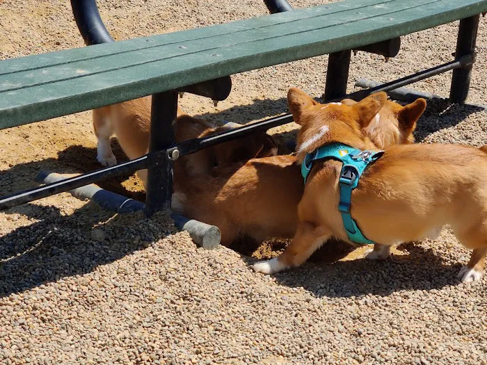 Pine Banks Dog Park 5