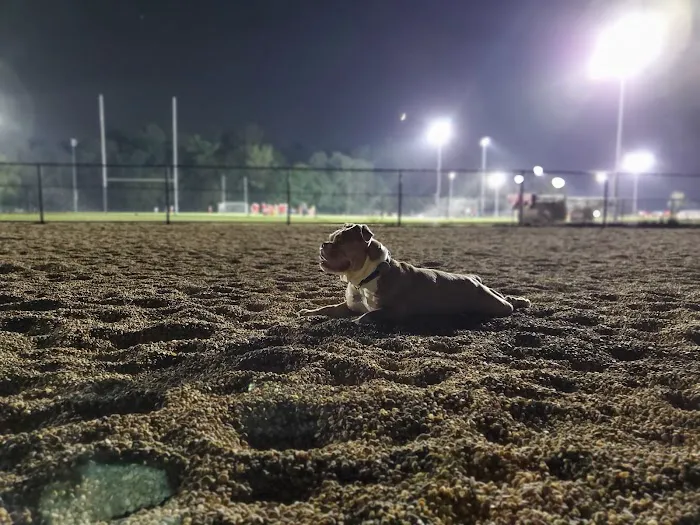 Pine Banks Dog Park 7