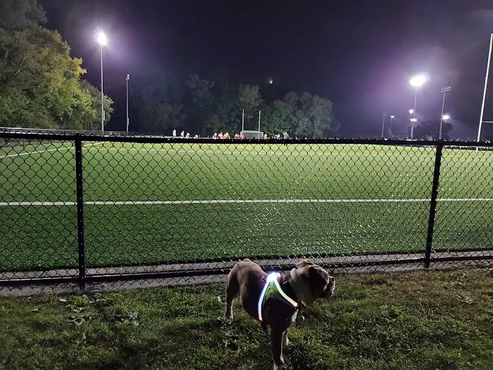 Pine Banks Dog Park 8