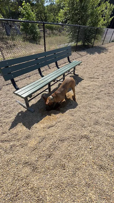 Pine Banks Dog Park 9