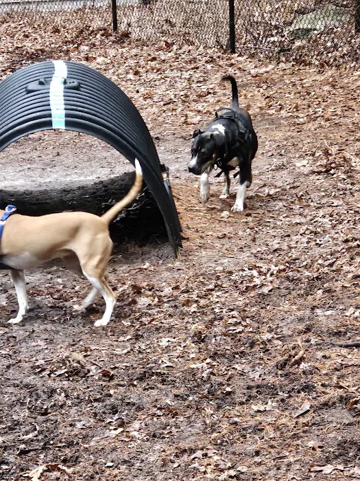 Bark Place Dog Park 1