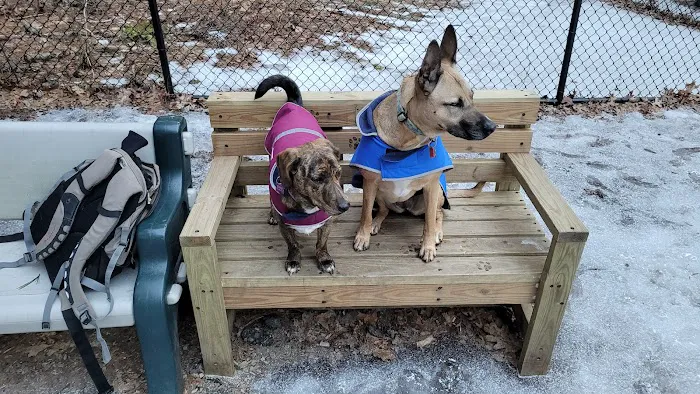 Bark Place Dog Park 9