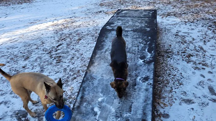 Bark Place Dog Park 5