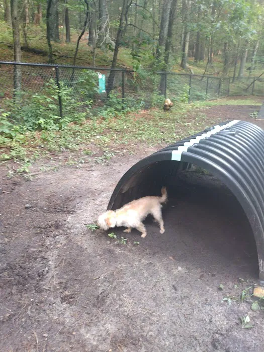 Bark Place Dog Park 3